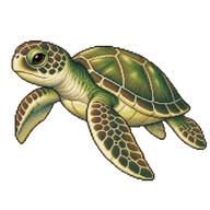 Green Sea Turtle Juvenile