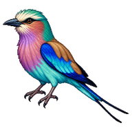 Lilac-breasted Roller