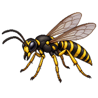 European Beewolf