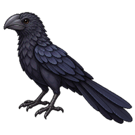 Smooth-billed Ani