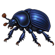 Dor Beetle