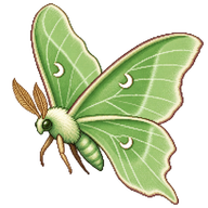 Light Emerald