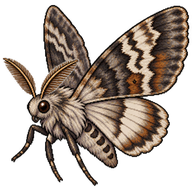 American Dagger Moth