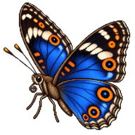 Blue Pansy