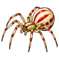 Candy-striped Spider
