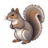 Eastern Grey Squirrel