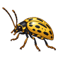 Bebbian's Leaf Beetle