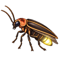 Common Glow-worm