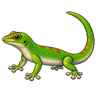 Gold Dust Day Gecko