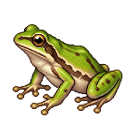 Northern Pacific Treefrog
