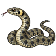 Dice Snake