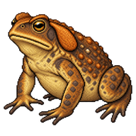 Giant Toad