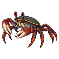 Mangrove Tree Crab