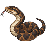 Cottonmouth