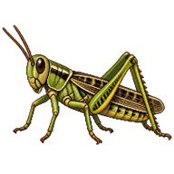 Differential Grasshopper