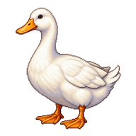 Domestic Duck