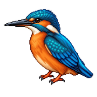 Common Kingfisher