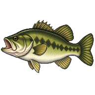 Largemouth Bass