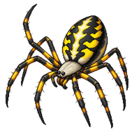 Yellow Garden Spider