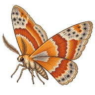 Small Phoenix