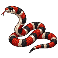 Milk Snake