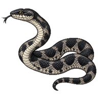 Eastern Rat Snake
