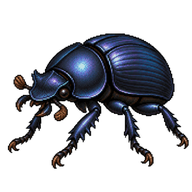 Sacred Scarab Beetle