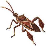 Leaf-footed Bug