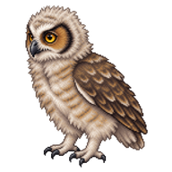 Great Horned Owl Hatchling