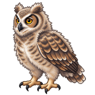 Great Horned Owl Fledgling