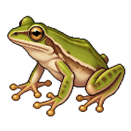 Common Tree Frog