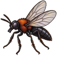 Fever Fly
