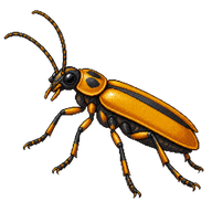 Goldenrod Soldier Beetle