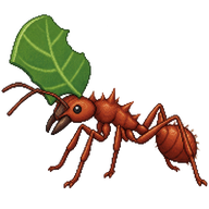 Desert Leafcutter Ant