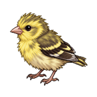 American Goldfinch Hatchling