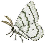 White Spring Moth