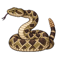 Prairie Rattlesnake