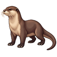 Smooth-coated Otter