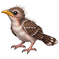 Yellow-billed Cuckoo Hatchling