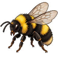 Two-spotted Bumblebee