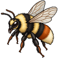 Tri-colored Bumblebee
