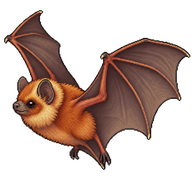 Eastern Red Bat