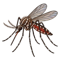 Vexans Mosquito