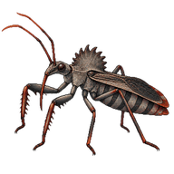 Wheel Bug