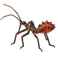 Wheel Bug Nymph