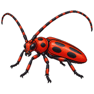Red Milkweed Beetle