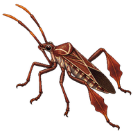 Eastern Leaf-footed Bug