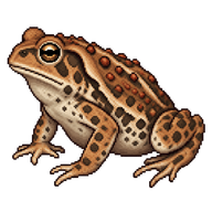 Fowler's Toad