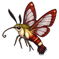 Hummingbird Clearwing Moth