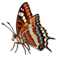 Two-tailed Pasha